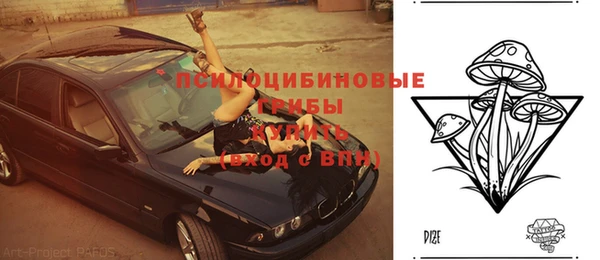 марки lsd Гусев