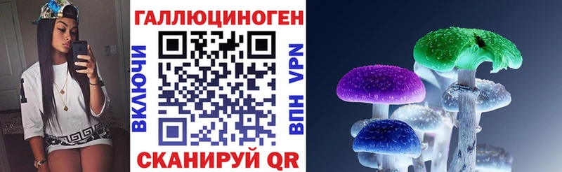Псилоцибиновые грибы Psilocybe  Купить закладки  Николаевск-на-Амуре 